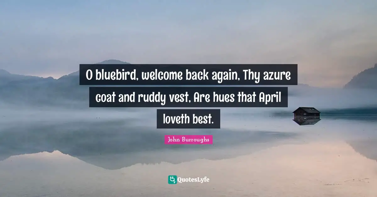 Hue Quotes: "O bluebird, welcome back again, Thy azure coat and ruddy vest, Are hues that April loveth best."
