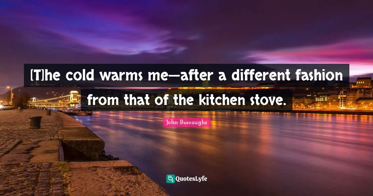 John Burroughs Quotes: "[T]he cold warms me—after a different fashion from that of the kitchen stove."