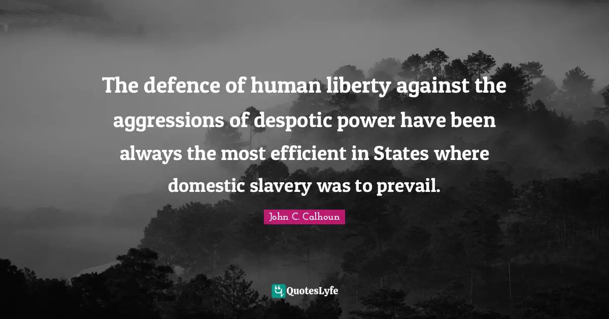 Efficient Quotes: "The defence of human liberty against the aggressions of despotic power have been always the most efficient in States where domestic slavery was to prevail."