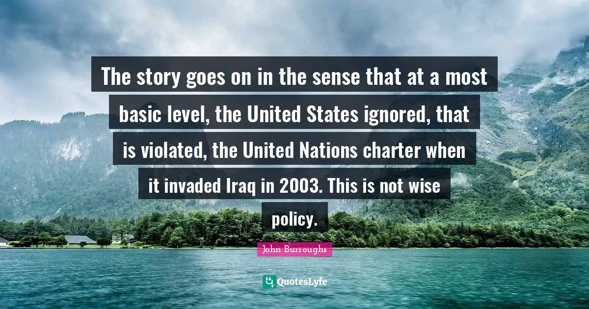 Charter Quotes: "The story goes on in the sense that at a most basic level, the United States ignored, that is violated, the United Nations charter when it invaded Iraq in 2003. This is not wise policy."