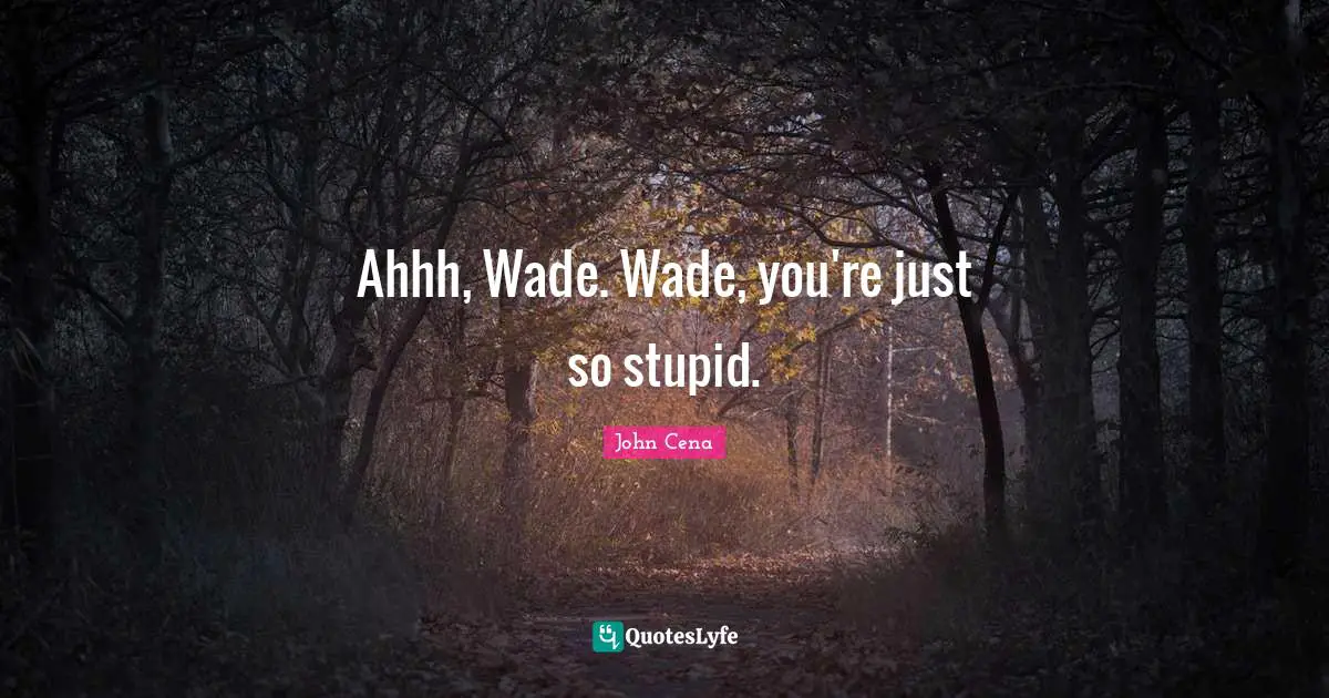 Ahhh, Wade. Wade, you're just so stupid.