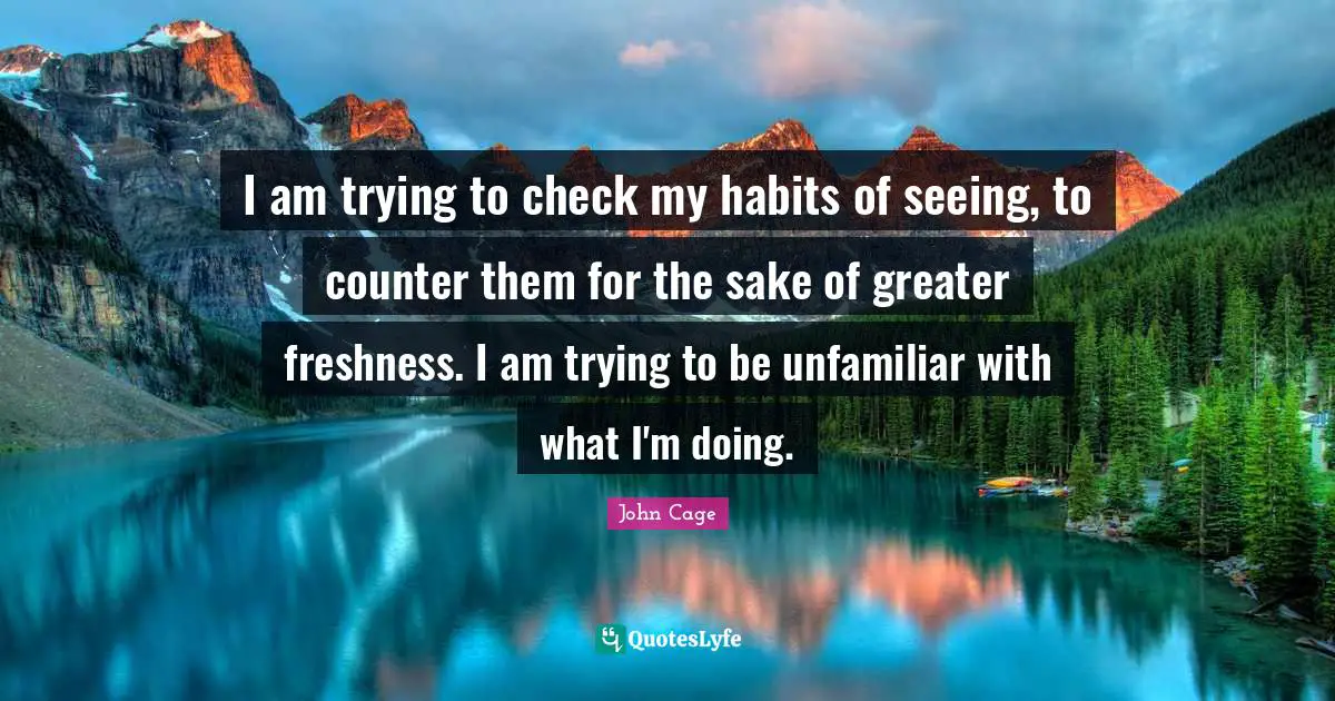I am trying to check my habits of seeing, to counter them for the sake of greater freshness. I am trying to be unfamiliar with what I'm doing.