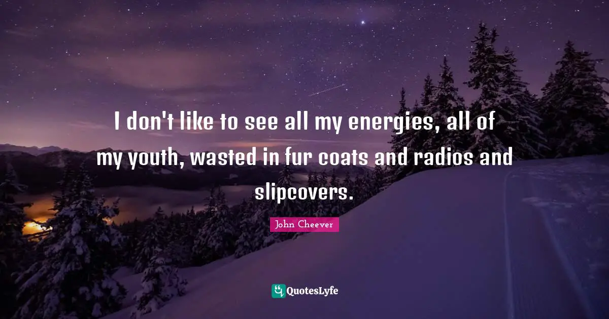 I don't like to see all my energies, all of my youth, wasted in fur coats and radios and slipcovers.