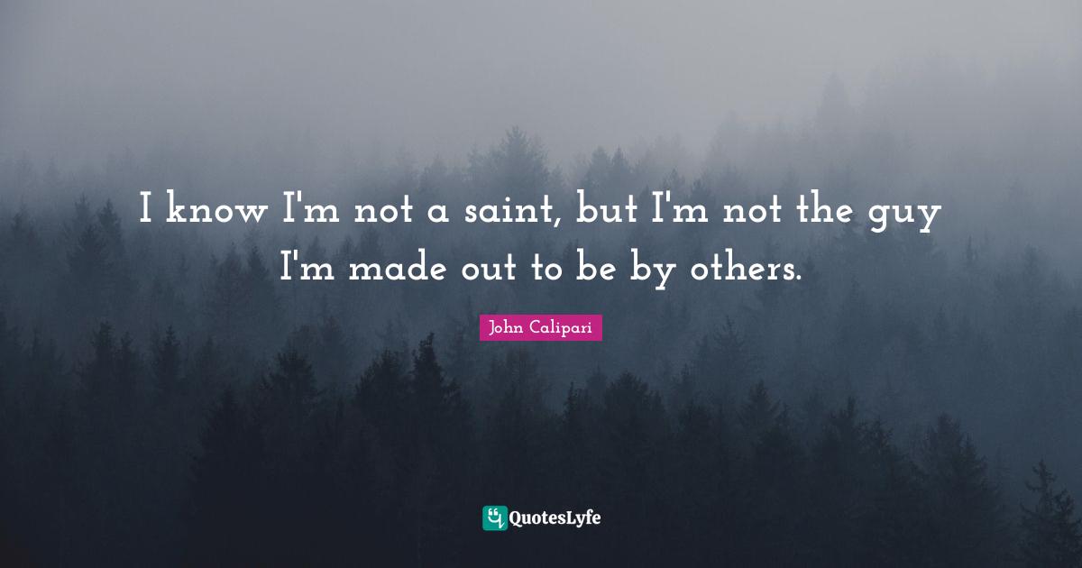 I know I'm not a saint, but I'm not the guy I'm made out to be by others.