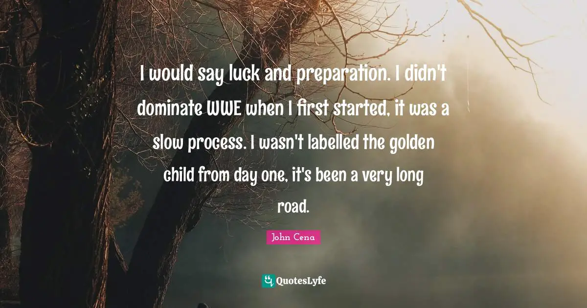 I would say luck and preparation. I didn't dominate WWE when I first started, it was a slow process. I wasn't labelled the golden child from day one, it's been a very long road.