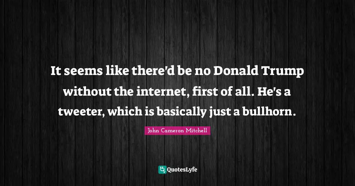 It seems like there'd be no Donald Trump without the internet, first of all. He's a tweeter, which is basically just a bullhorn.