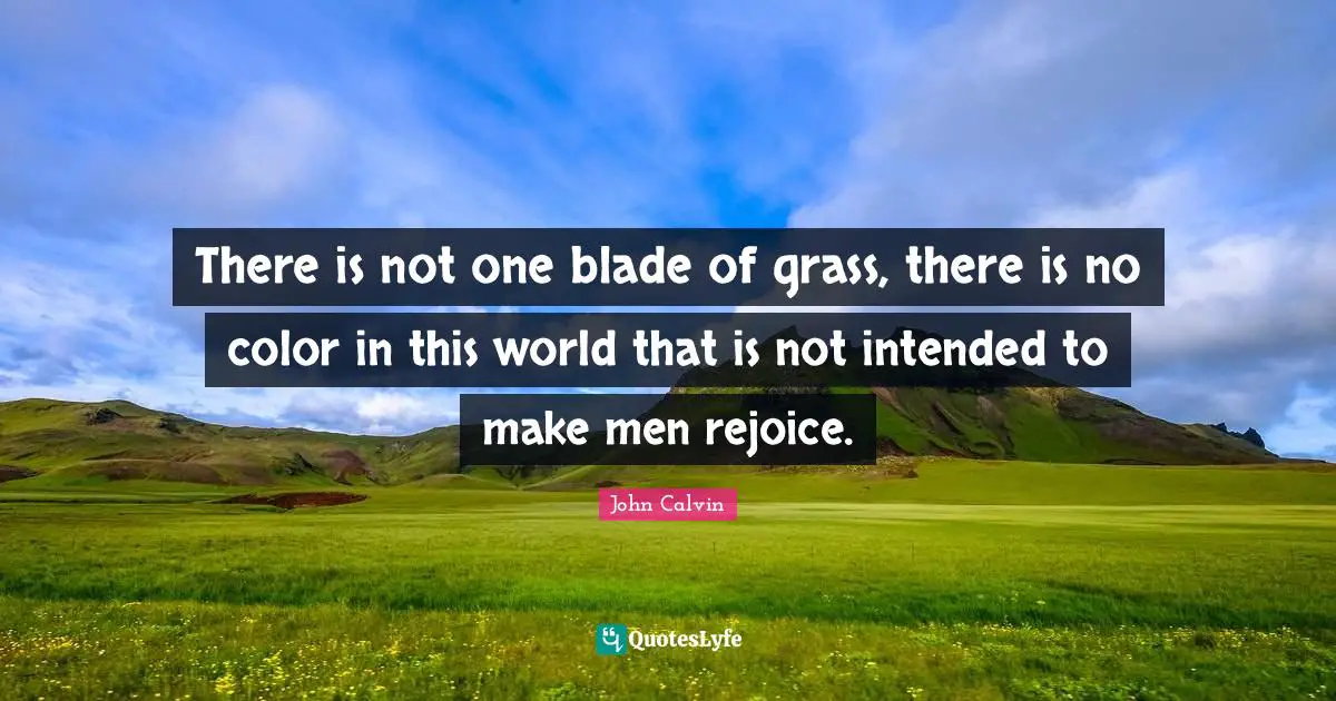 John Calvin Quotes: There is not one blade of grass, there is no color in this world that is not intended to make men rejoice.