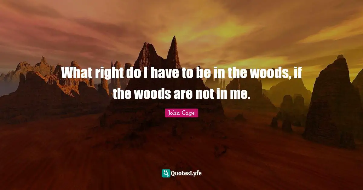 What right do I have to be in the woods, if the woods are not in me.
