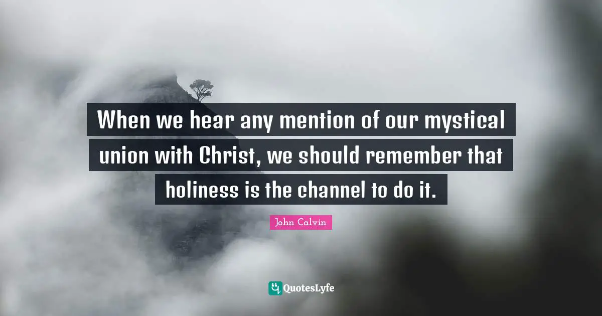 When we hear any mention of our mystical union with Christ, we should remember that holiness is the channel to do it.