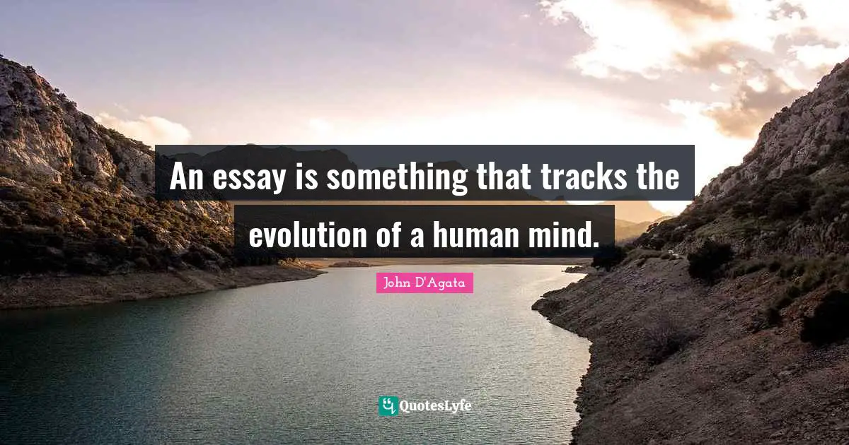 An essay is something that tracks the evolution of a human mind.