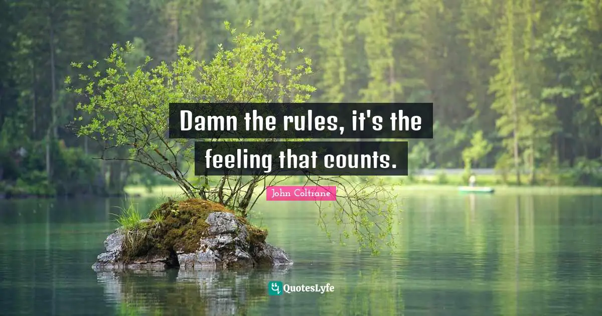 Feelings Quotes: "Damn the rules, it's the feeling that counts."