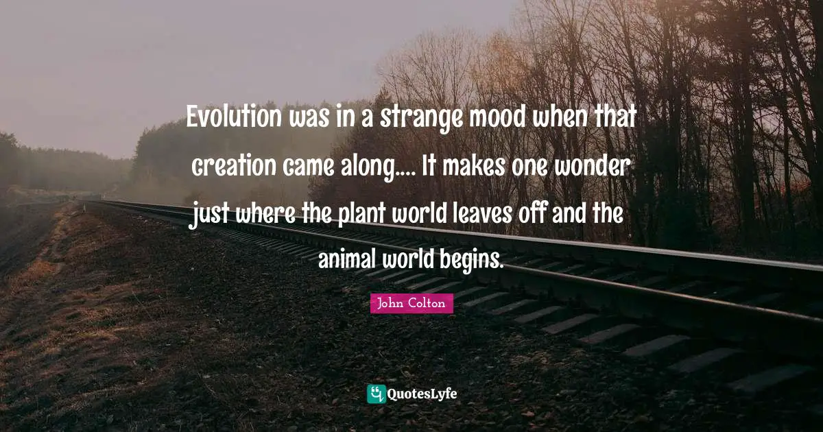 Evolution was in a strange mood when that creation came along.... It makes one wonder just where the plant world leaves off and the animal world begins.