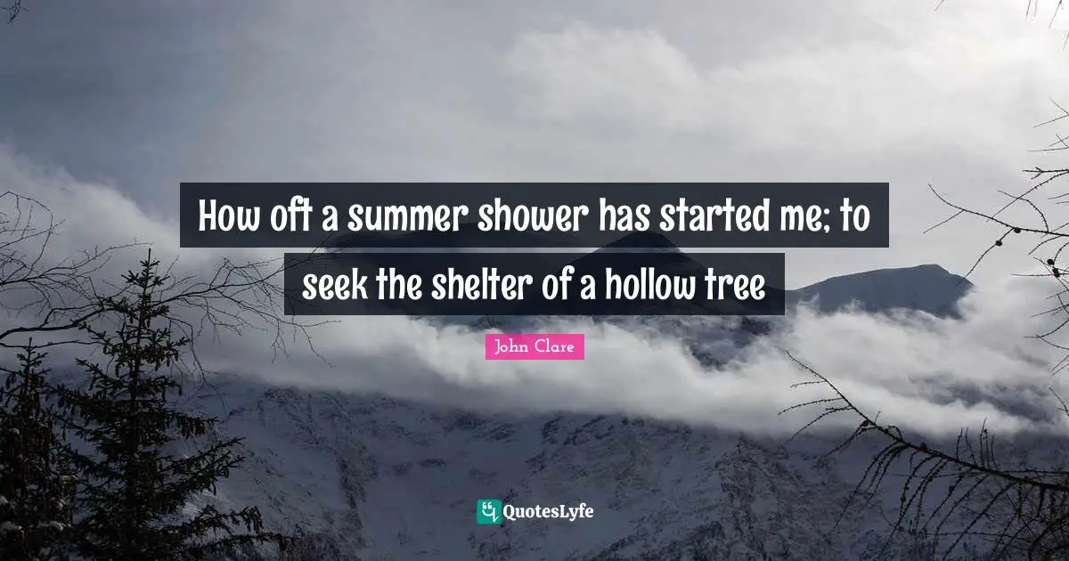 How oft a summer shower has started me; to seek the shelter of a hollow tree