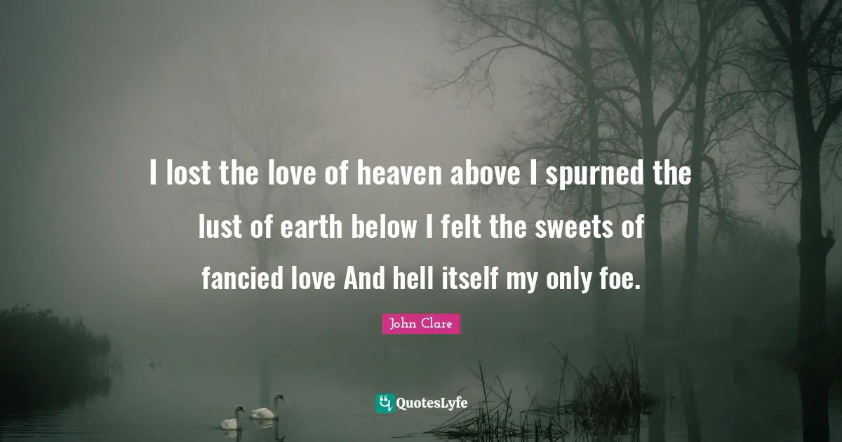 I lost the love of heaven above I spurned the lust of earth below I felt the sweets of fancied love And hell itself my only foe.