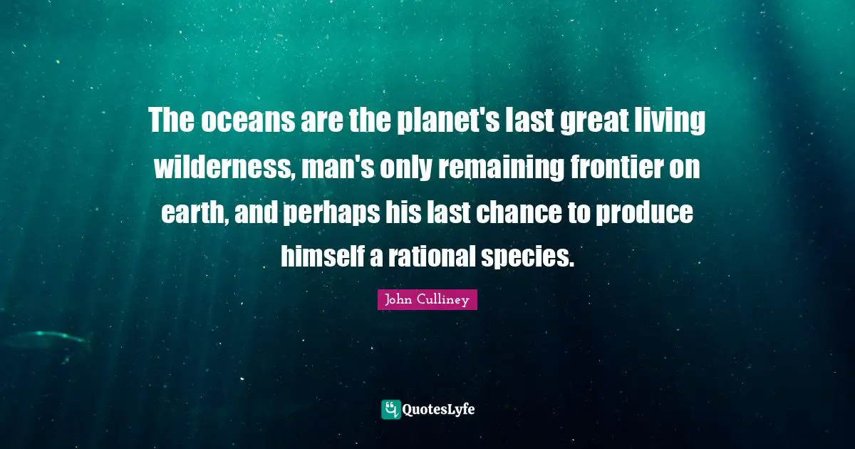 The oceans are the planet's last great living wilderness, man's only remaining frontier on earth, and perhaps his last chance to produce himself a rational species.