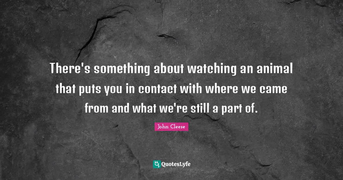 Came Quotes: "There's something about watching an animal that puts you in contact with where we came from and what we're still a part of."