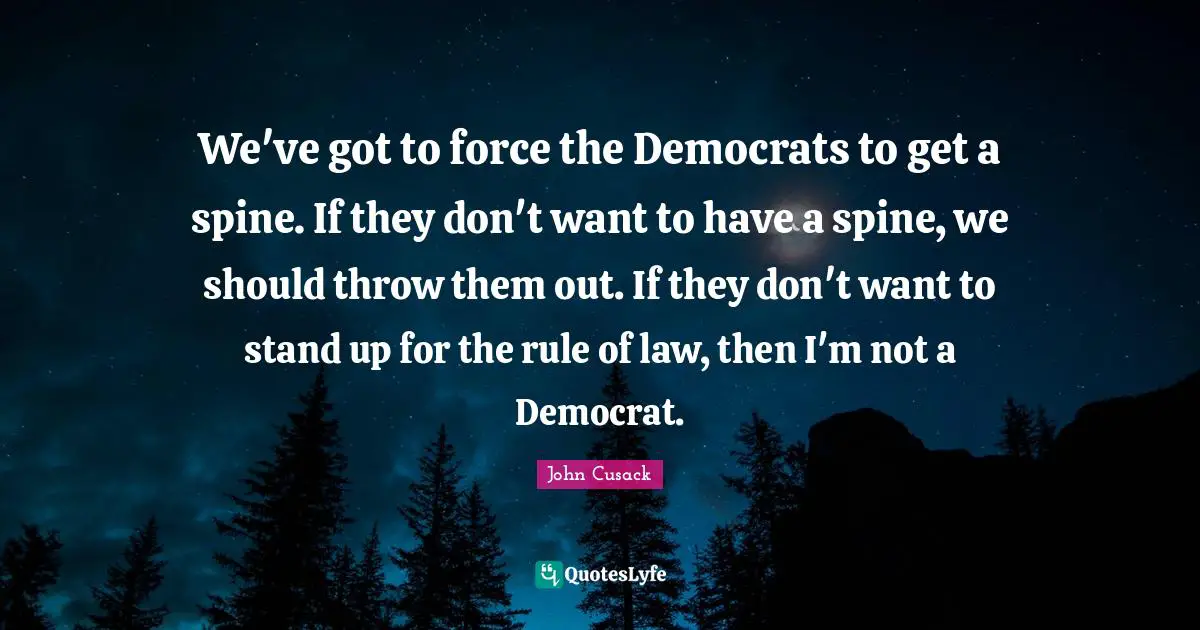 We've got to force the Democrats to get a spine. If they don't want to have a spine, we should throw them out. If they don't want to stand up for the rule of law, then I'm not a Democrat.