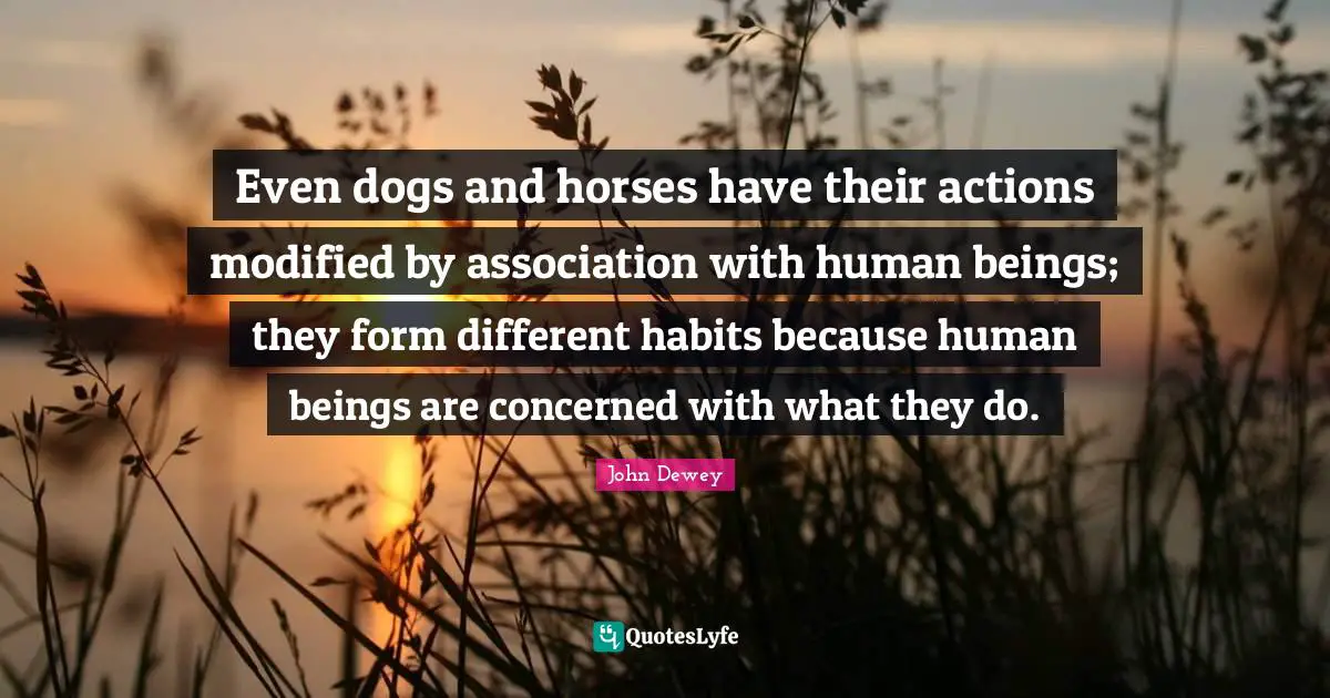 Even dogs and horses have their actions modified by association with human beings; they form different habits because human beings are concerned with what they do.