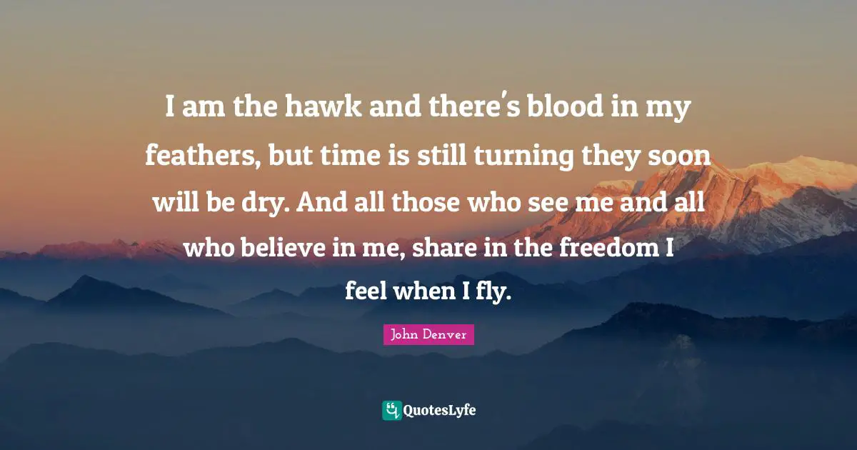 I am the hawk and there's blood in my feathers, but time is still turning they soon will be dry. And all those who see me and all who believe in me, share in the freedom I feel when I fly.