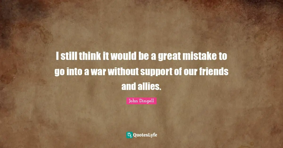 I still think it would be a great mistake to go into a war without support of our friends and allies.