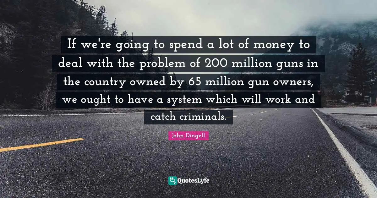 If we're going to spend a lot of money to deal with the problem of 200 million guns in the country owned by 65 million gun owners, we ought to have a system which will work and catch criminals.