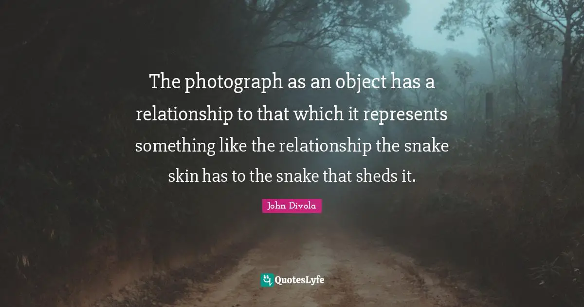 The photograph as an object has a relationship to that which it represents something like the relationship the snake skin has to the snake that sheds it.