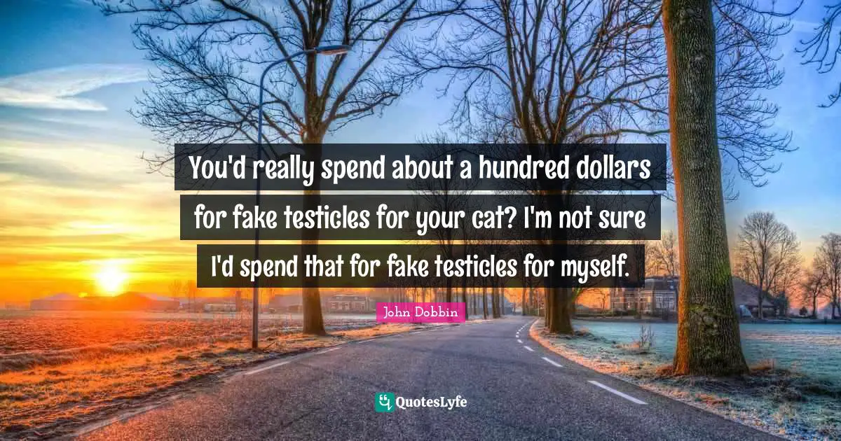 You'd really spend about a hundred dollars for fake testicles for your cat? I'm not sure I'd spend that for fake testicles for myself.