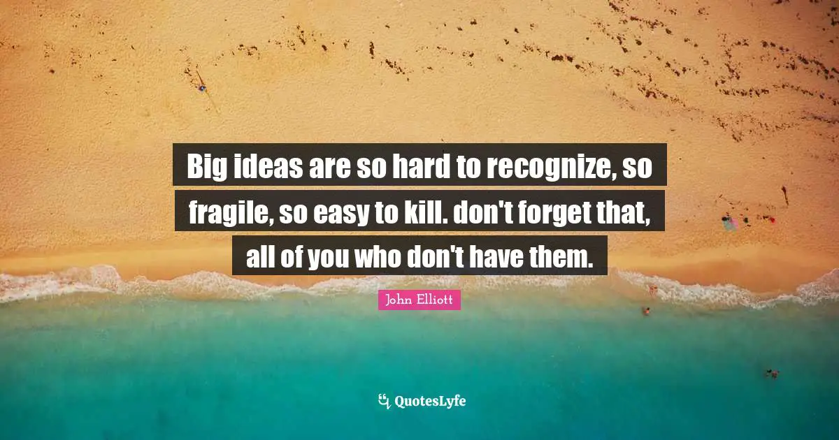Big ideas are so hard to recognize, so fragile, so easy to kill. don't forget that, all of you who don't have them.