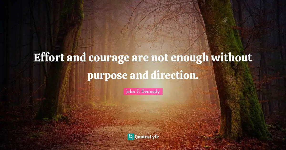 Effort Quotes: "Effort and courage are not enough without purpose and direction."