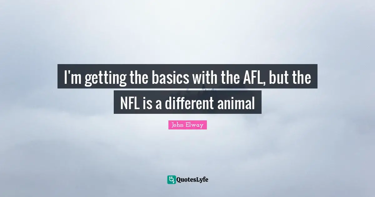 I'm getting the basics with the AFL, but the NFL is a different animal