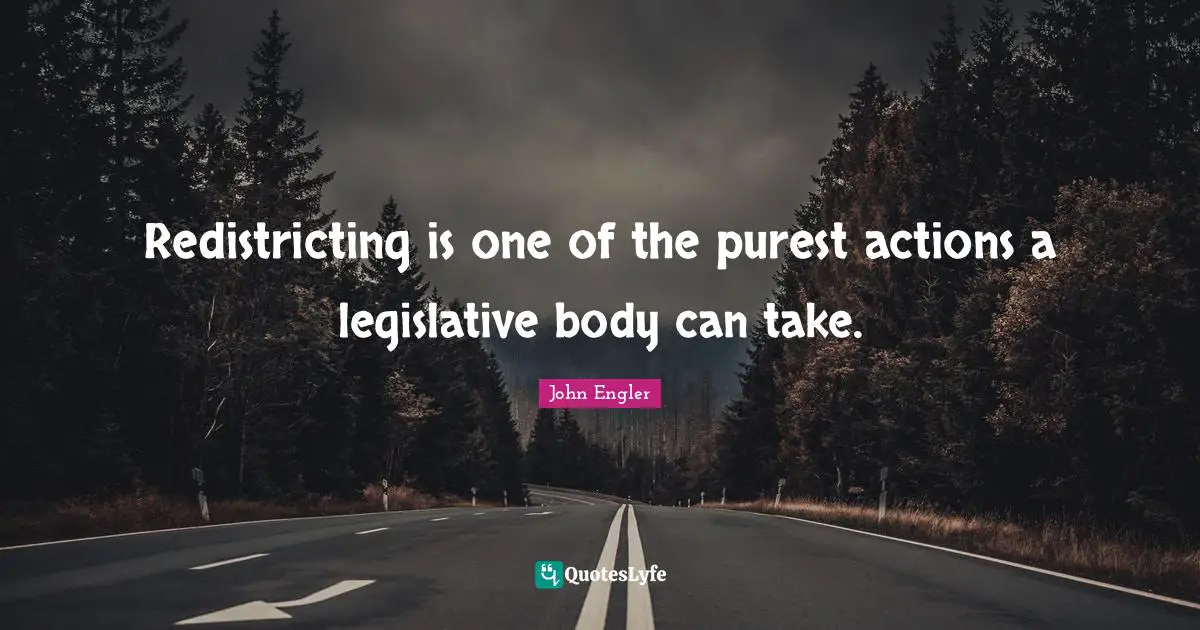 Redistricting is one of the purest actions a legislative body can take.