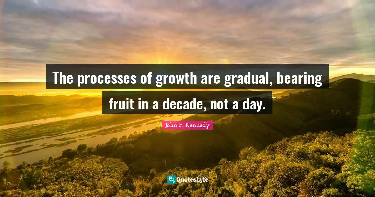 The processes of growth are gradual, bearing fruit in a decade, not a day.