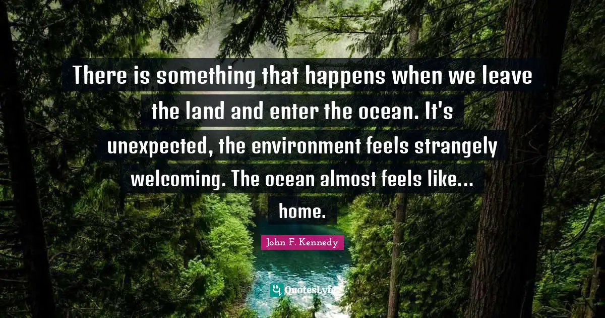 There is something that happens when we leave the land and enter the ocean. It's unexpected, the environment feels strangely welcoming. The ocean almost feels like... home.