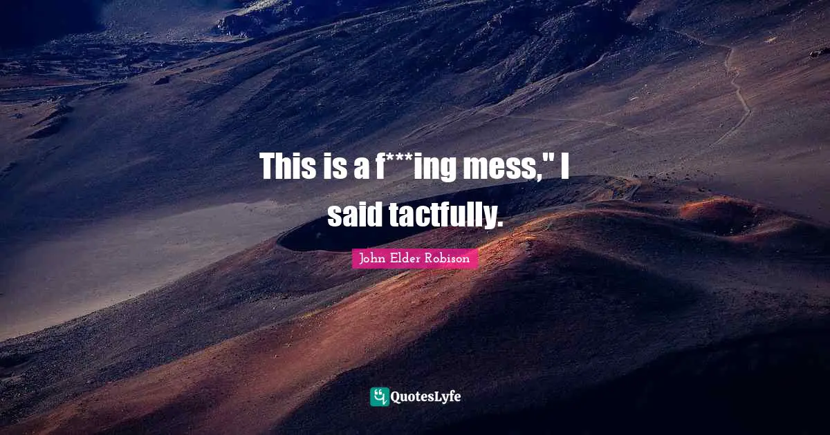 This is a f***ing mess," I said tactfully.