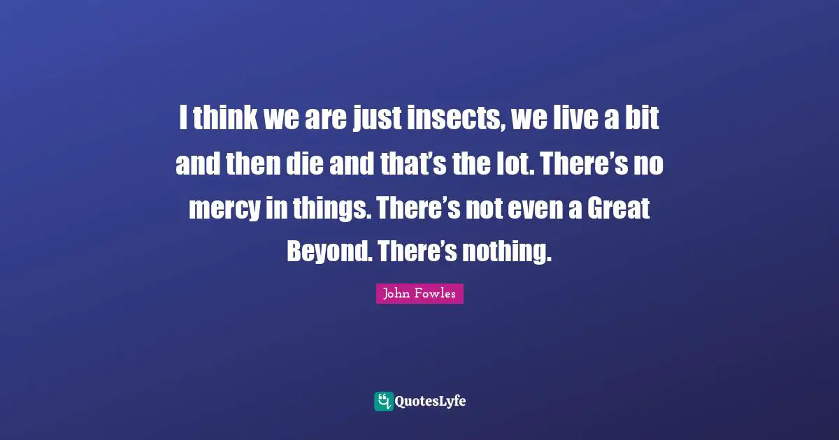 I think we are just insects, we live a bit and then die and that’s the lot. There’s no mercy in things. There’s not even a Great Beyond. There’s nothing.