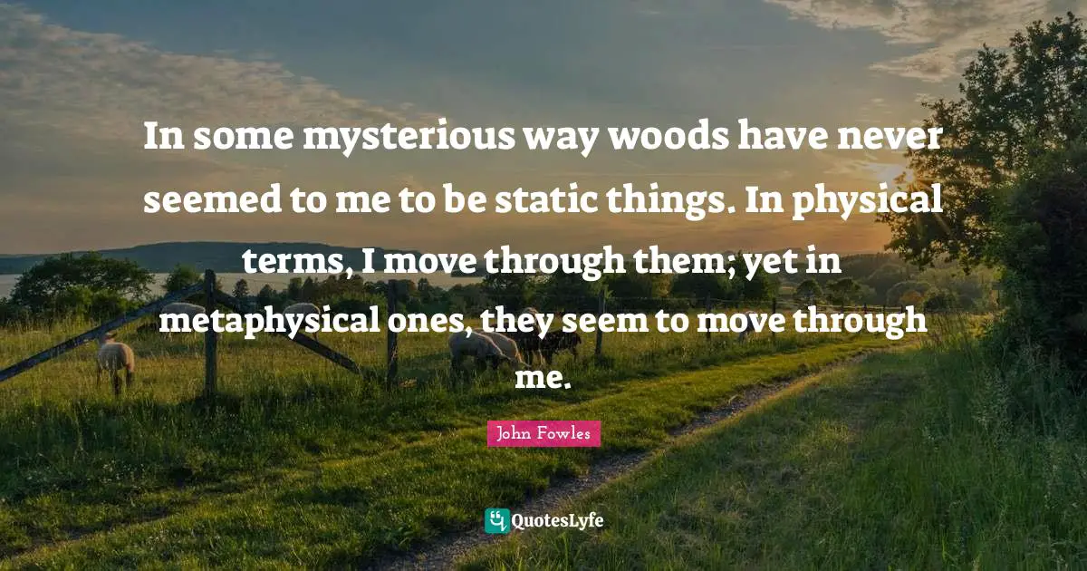 In some mysterious way woods have never seemed to me to be static things. In physical terms, I move through them; yet in metaphysical ones, they seem to move through me.