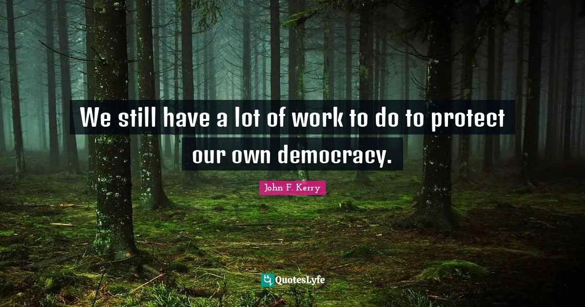 We still have a lot of work to do to protect our own democracy.