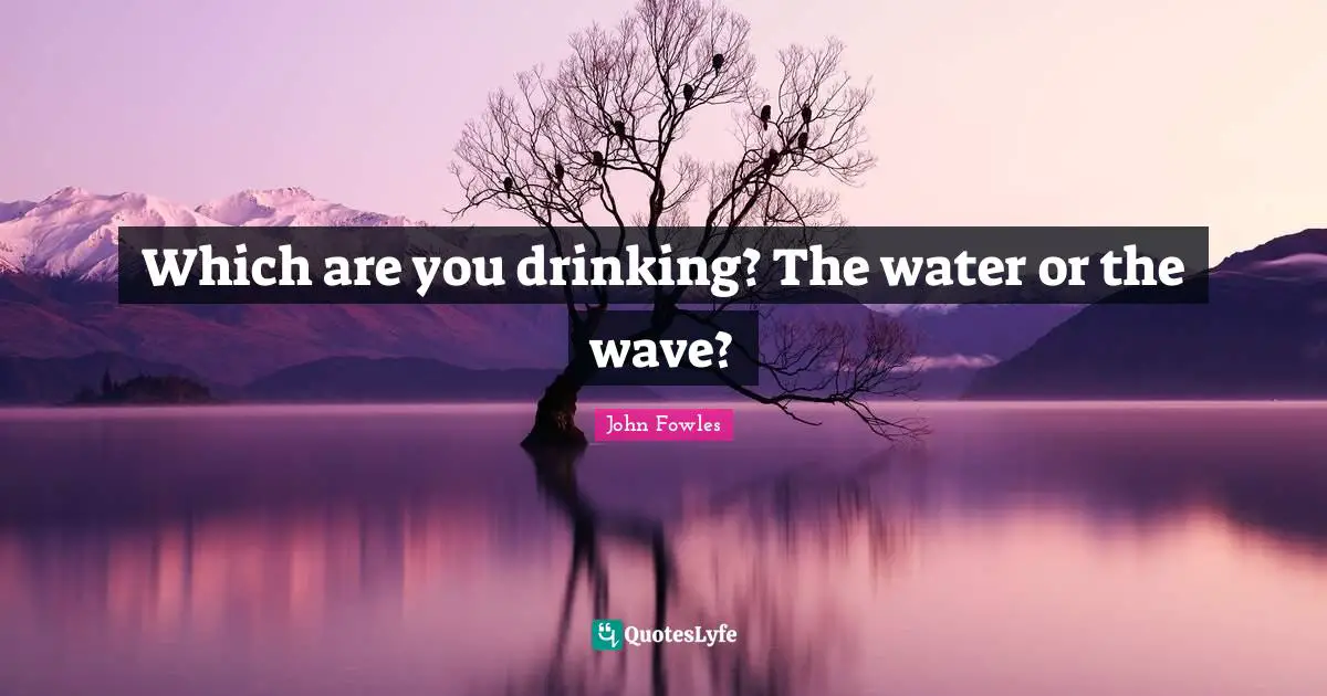Which are you drinking? The water or the wave?
