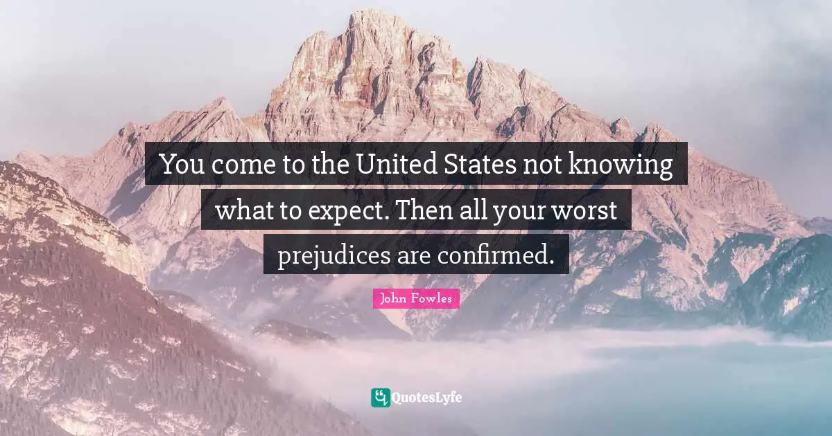 You come to the United States not knowing what to expect. Then all your worst prejudices are confirmed.