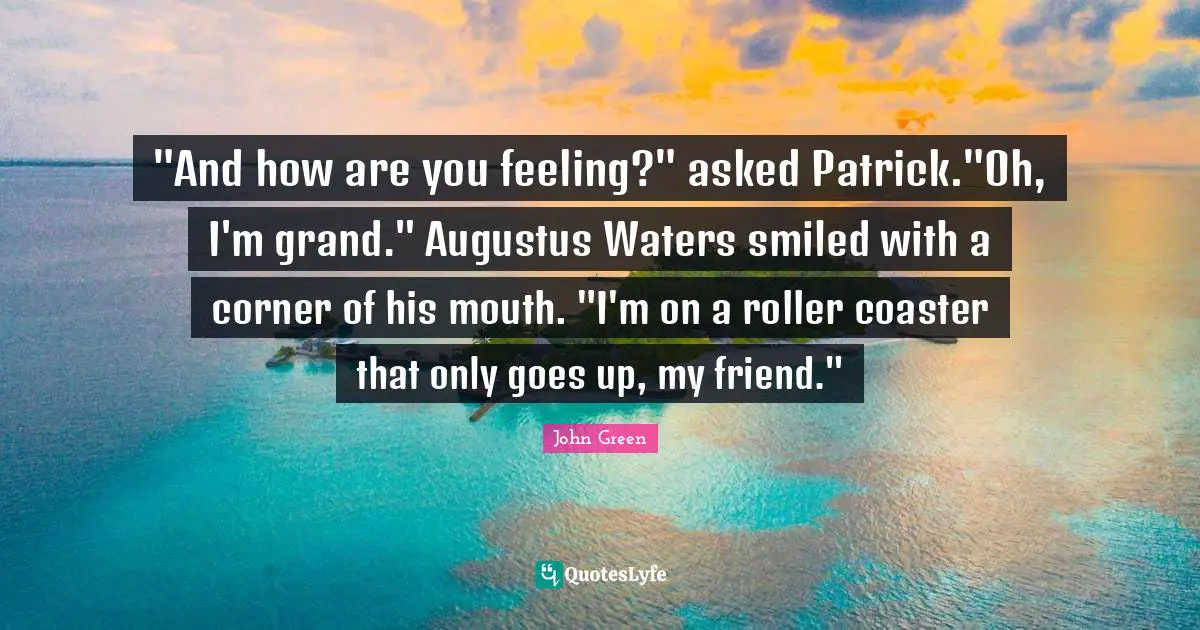 "And how are you feeling?" asked Patrick."Oh, I'm grand." Augustus Waters smiled with a corner of his mouth. "I'm on a roller coaster that only goes up, my friend."