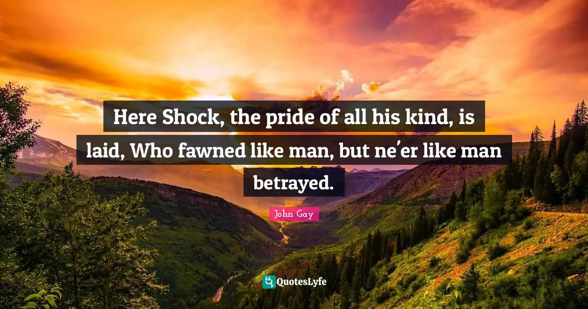 Here Shock, the pride of all his kind, is laid, Who fawned like man, but ne'er like man betrayed.