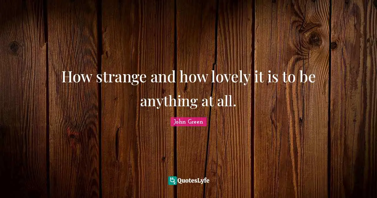 How strange and how lovely it is to be anything at all.