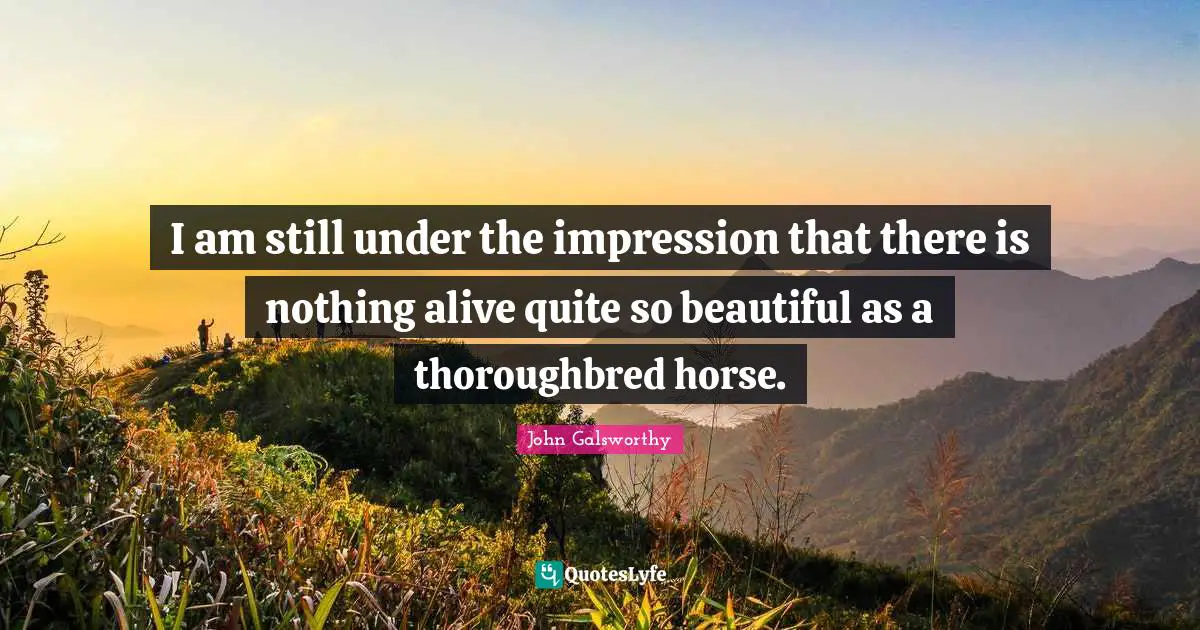 John Galsworthy Quotes: I am still under the impression that there is nothing alive quite so beautiful as a thoroughbred horse.