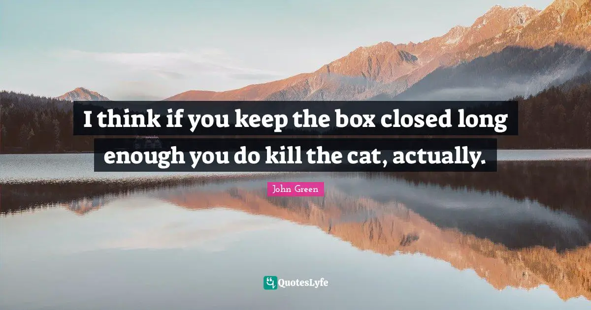 I think if you keep the box closed long enough you do kill the cat, actually.
