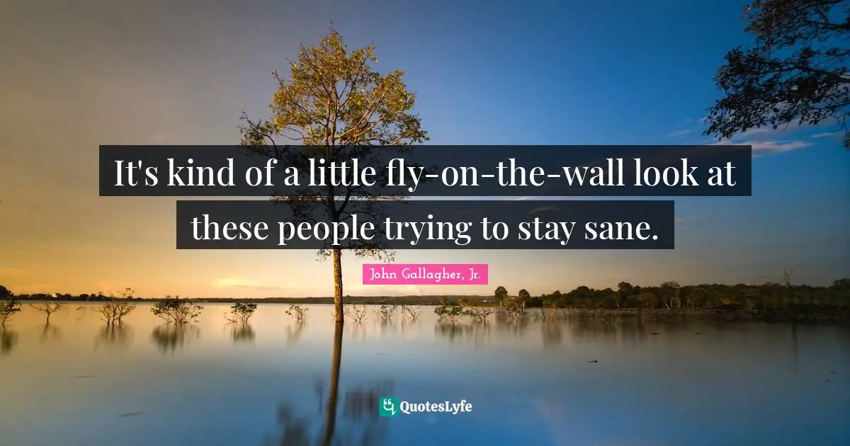 It's kind of a little fly-on-the-wall look at these people trying to stay sane.