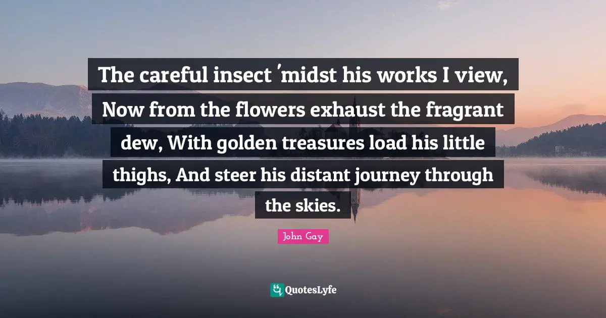 The careful insect 'midst his works I view, Now from the flowers exhaust the fragrant dew, With golden treasures load his little thighs, And steer his distant journey through the skies.