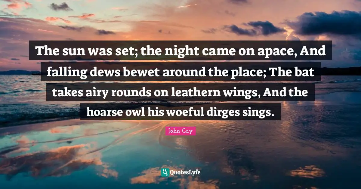 The sun was set; the night came on apace, And falling dews bewet around the place; The bat takes airy rounds on leathern wings, And the hoarse owl his woeful dirges sings.