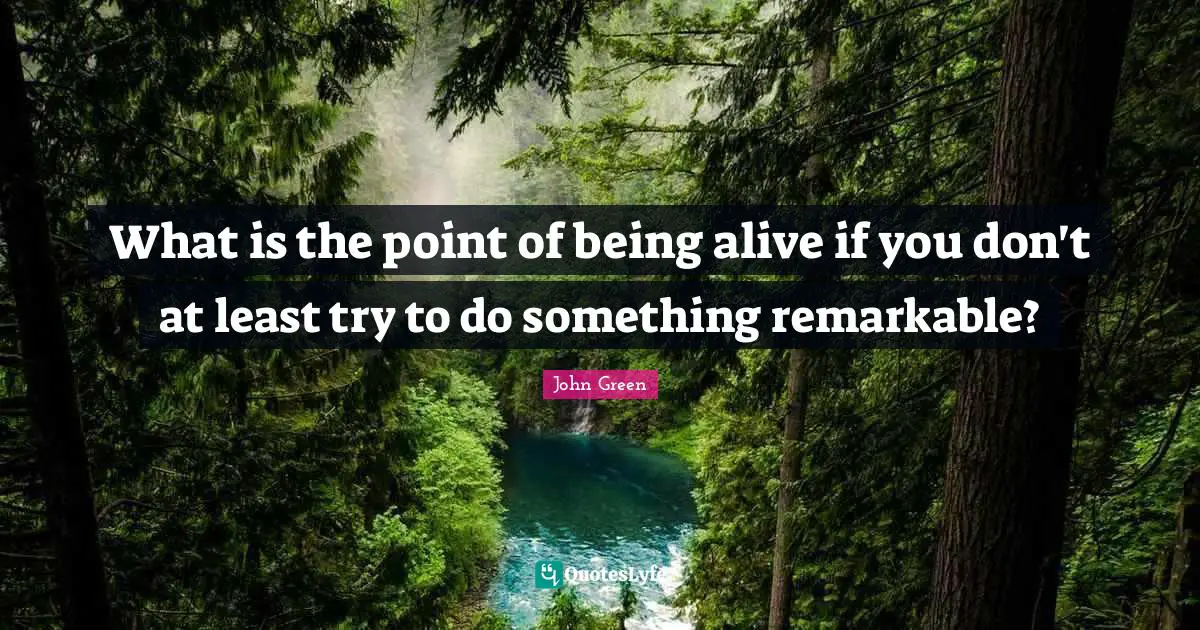 What is the point of being alive if you don't at least try to do something remarkable?