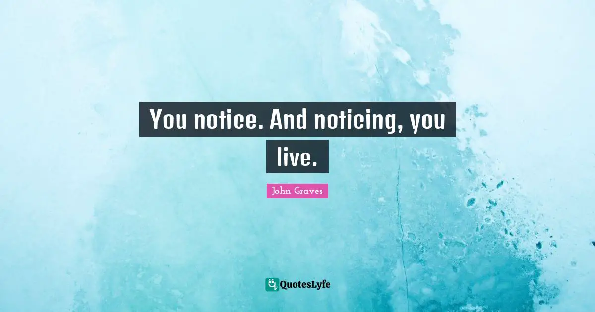 You notice. And noticing, you live.