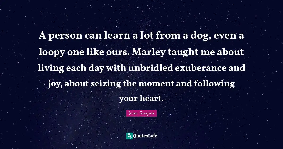 A person can learn a lot from a dog, even a loopy one like ours. Marley taught me about living each day with unbridled exuberance and joy, about seizing the moment and following your heart.